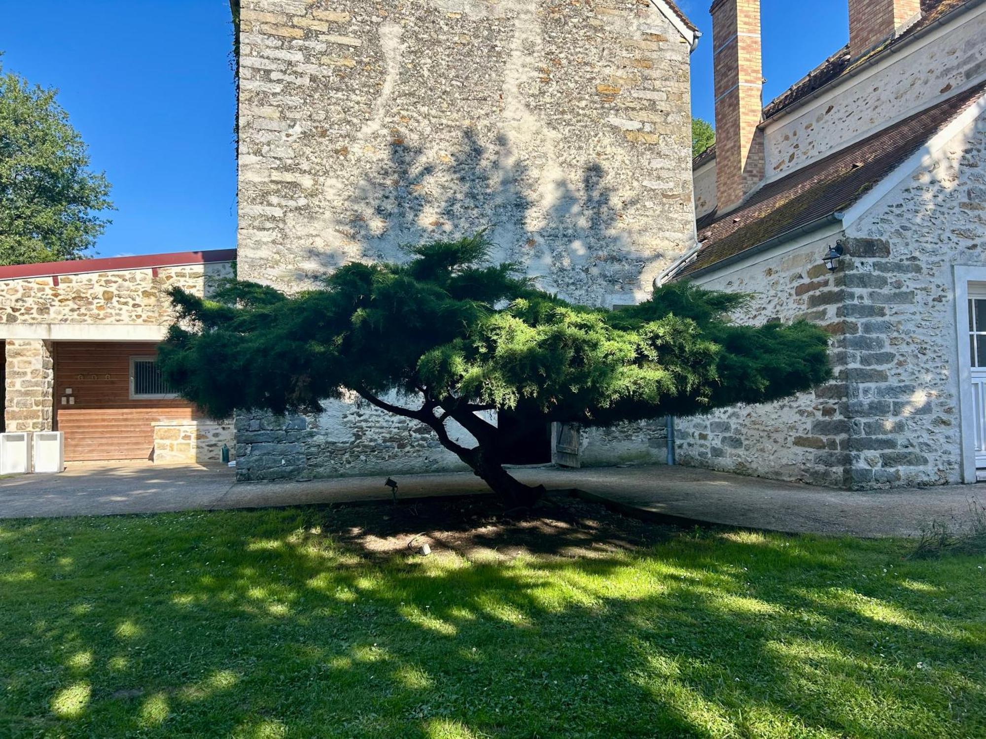 Privatunterkunft Le Domaine De Brie Chatillon-la-Borde